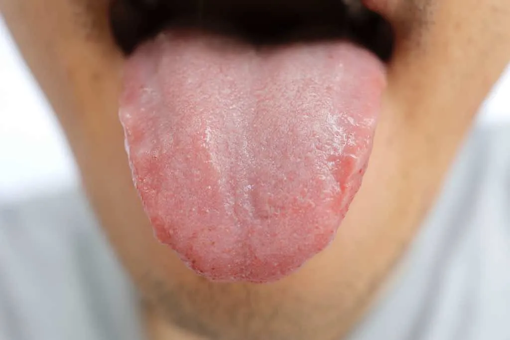 Descubre qué son las papilas gustativas